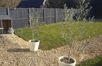 Oak Cottage - Perfect for Golfing, Walking & Relaxing - Foto 5