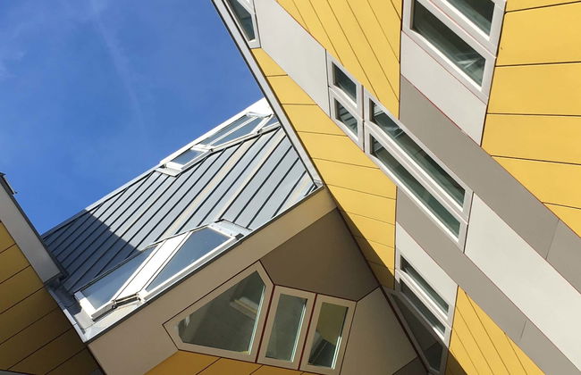 Visite sur l'art et l'architecture de Rotterdam - Photo 1