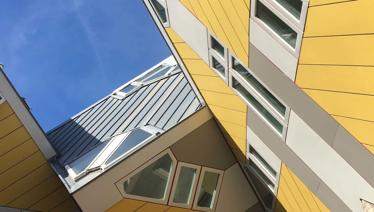 Visite sur l'art et l'architecture de Rotterdam