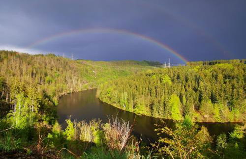 Pension 'Am Vogelherd' - Foto 18