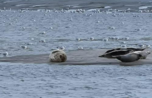 Amour Baie - Foto 47