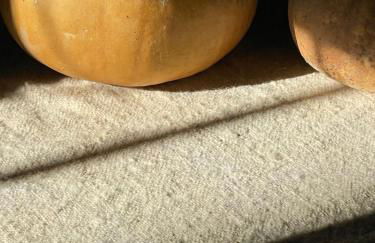 Stylish house in Alentejo - Foto 14