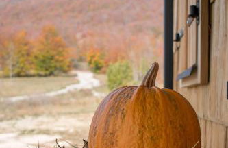 Modern Alpine Monsalbius Chalet - Foto 51