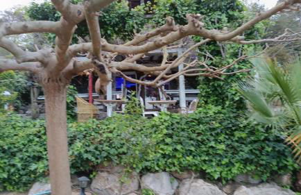 Mare Maravella Costa Brava Nature - Foto 75