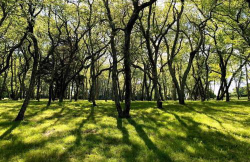 The Seaport House - Near Newport - Foto 24