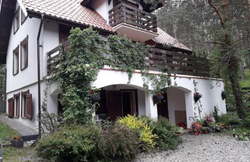 Wczasy na Kaszubach, balia, sauna, jezioro - Foto 22