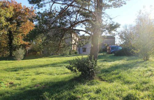 L'esquirou - Foto 25