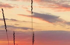 Ocean Drive BOUTIQUE Apartment Adults only Dog friendly - Foto 41