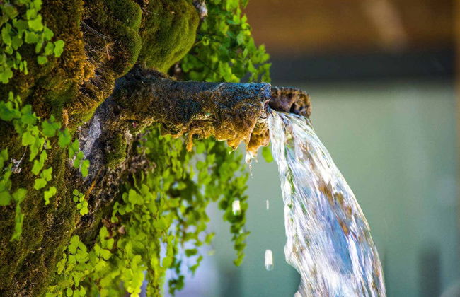 Aix-en-Provence Private Tour - Foto 2