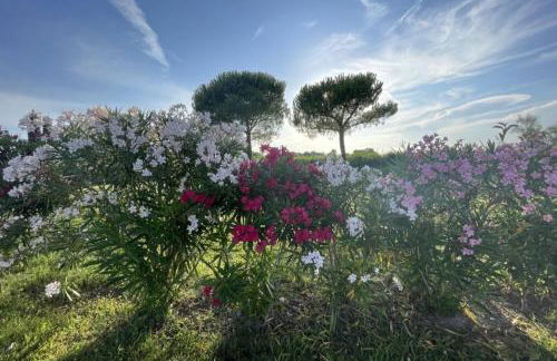 Calilla Home -appartamento Libeccio - Foto 53