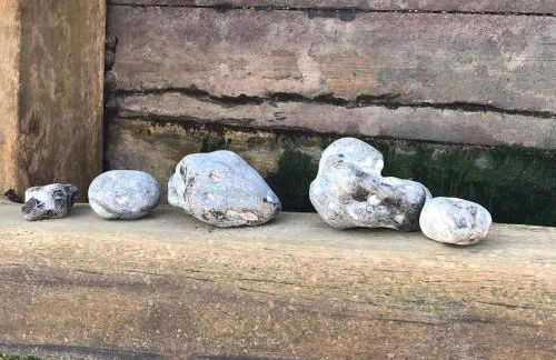 Beautiful Victorian Terraced House - Foto 54