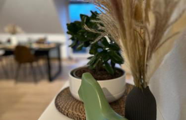 Oasis Appart - Wohnen am Elbtal Dresden - Balkon - Netflix - Tiefgarage - Foto 10