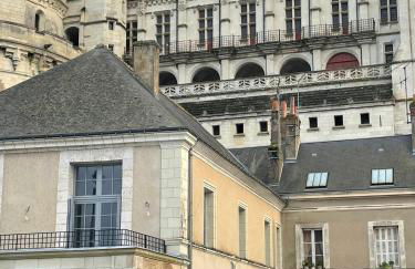Le Grenier à Sel d'Amboise 5 pers PMR, parking privé, terrasse, maison historique - Foto 2