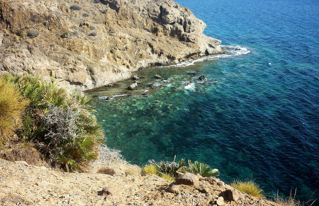 Cortijo la Molina de Cabo de Gata - Foto 40