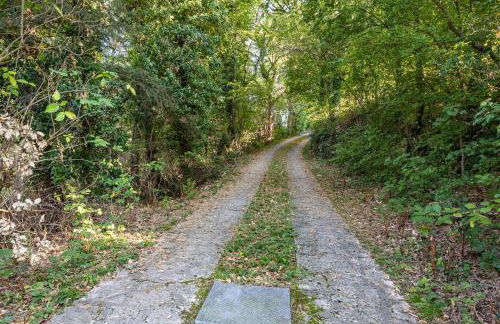 Villa Franca San Zeno - Foto 34