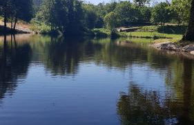 Casa da Mena - Casa de Campo no Caramulo - Foto 35