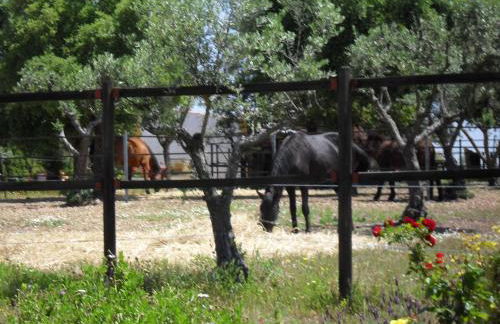 Quinta do Outeiro Alto - Foto 40