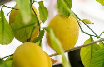 Il gatto Franco - Photo 24