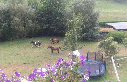 Schwoererhof - Photo 14