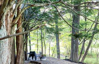 WOODSTOCK HISTORIC ARTIST ESTATE - THE MUSEUM HOUSE - Foto 39