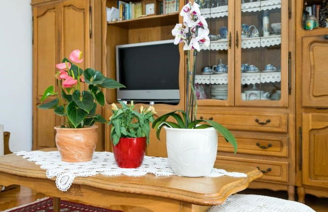 Željka - Balcony With sea View - A1 - Foto 12