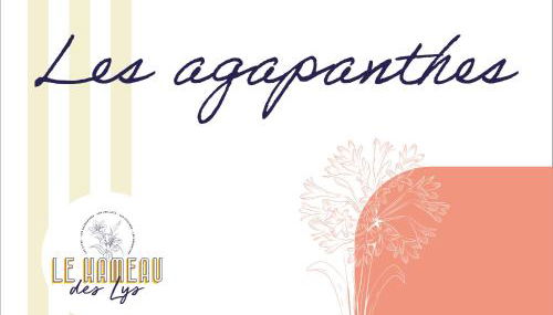 Le Hameau des Lys - 12min du PuyduFou - Photo 3