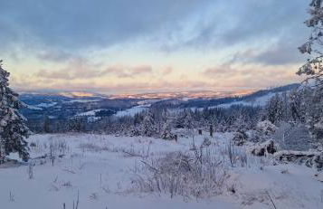 Ferienwohnung Schwarzer Hirsch - Foto 23