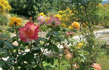 Al Podere del Nonno Romolo - Photo 55