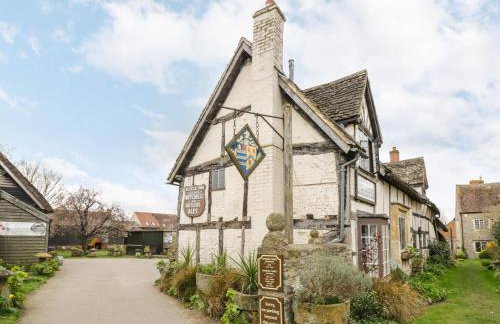 Alstroemeria - Photo 25