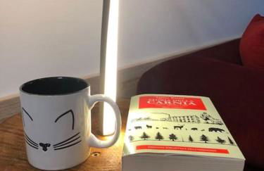 Holiday Guesthouse La Casina di Butzi pet friendly - Terme di Arta - Zoncolan - Foto 26