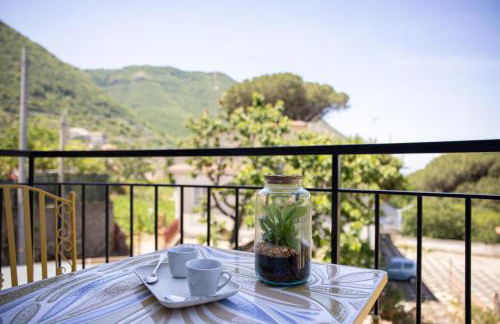 Tenuta Coppola - Foto 74