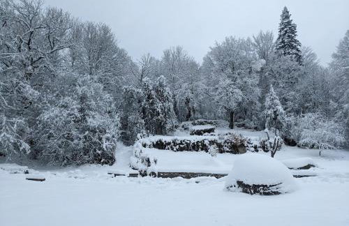 Maison au coeur de la forêt dans le Sidobre - GR36 - Foto 8