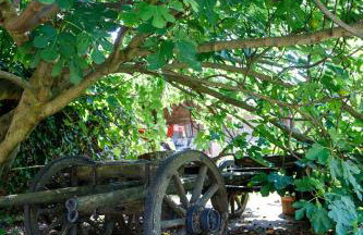 Little App - magical surrounding - Foto 9