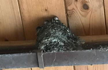 Hering FeWo II Apartment Balcony - Foto 29