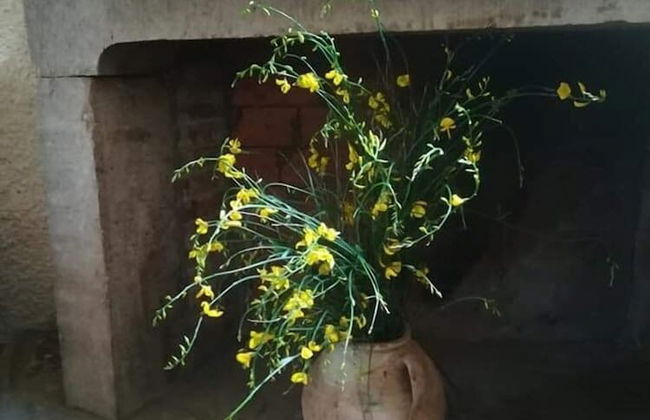 Agriturismo le Cammarose - Photo 17