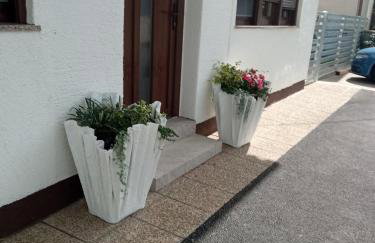 Apartman Nikola - Photo 47