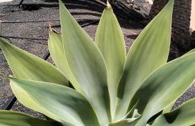 Apartamento Verdemare - Photo 64