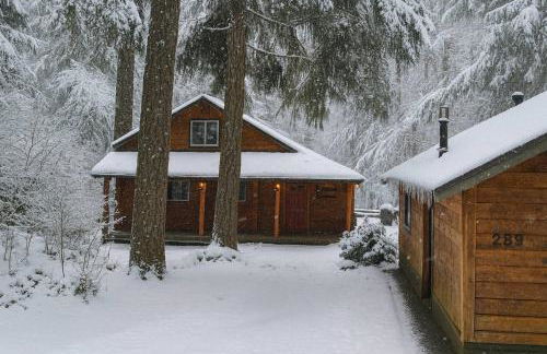 Rainier River Retreat - Foto 67