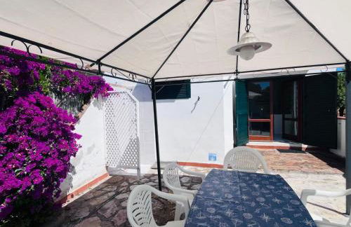 Giglio D'Oro - Elba Affitti - Foto 14