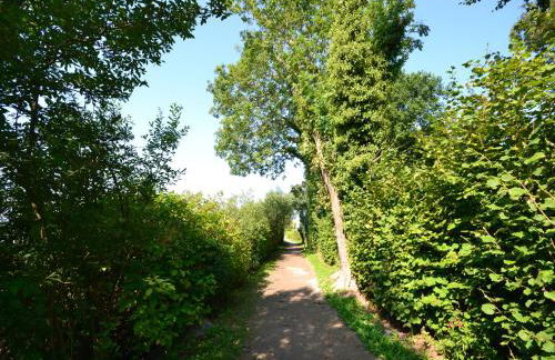 Ferienapartment "Wolke" - Foto 32