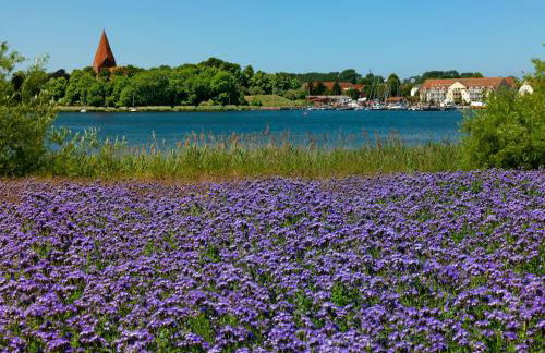 Ferienhäuser Hohmann FH Hohmann - Foto 18