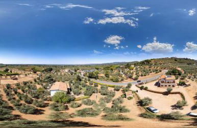 Agriturismo IL VECCHIO OLIVO - Foto 17