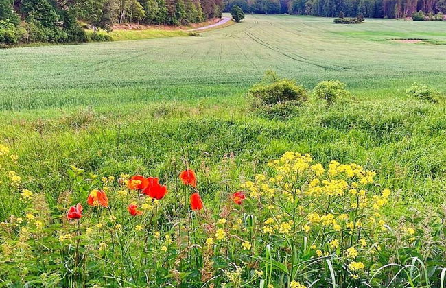 4 Person Holiday Home in Varmdo-by Traum - Photo 11