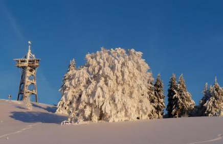 Reesbauernhof - Fewo Abendrot - Photo 15