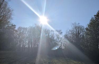 Maison au coeur de la forêt dans le Sidobre - GR36 - Foto 6