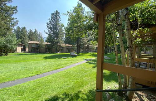 Condo de los Pinos #30 - Foto 8