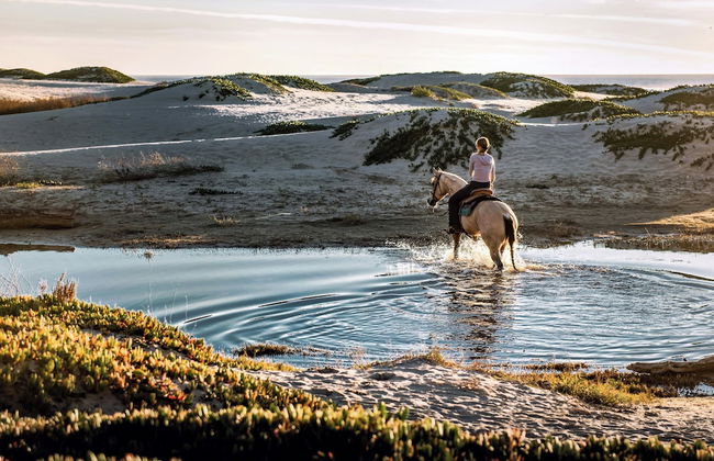 Hanah Apartments - Photo 64