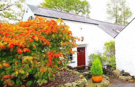 Riverside Cottage at Logwood Mill - Foto 30
