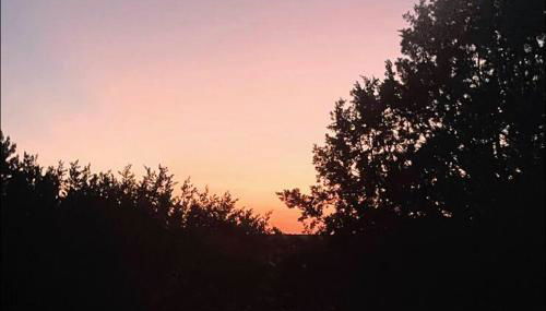 Dome Sweet Dome - Foto 3