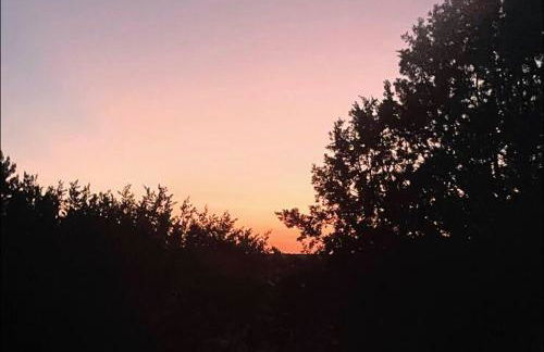 Dome Sweet Dome - Foto 3